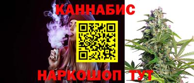 сатива Будённовск